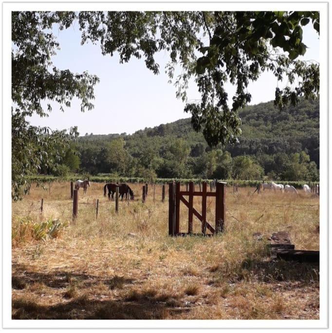 Charming Small House Close To Uzes Foissac  Экстерьер фото